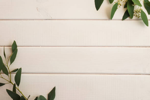 istock Eucalyptus leaves on a white wooden background with copy space. Plant background. Blank for design 1321556892