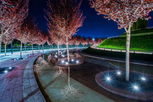 idyllischer blick auf bäume mit roten blättern im park krasnodar (so genannt park galitskogo) in der dämmerung. schwalbenbecken zum nachdenken im wasser-garten-feature! - garden feature stock-fotos und bilder