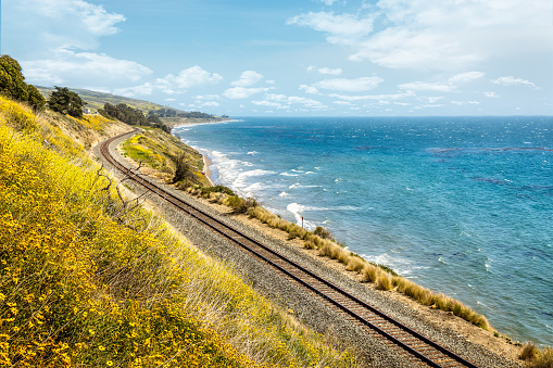 Pacific railroad along the coast of California with blooming wildflowers in springtime
