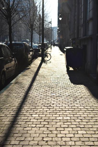 istock Sunset street with long shadows 1321570465