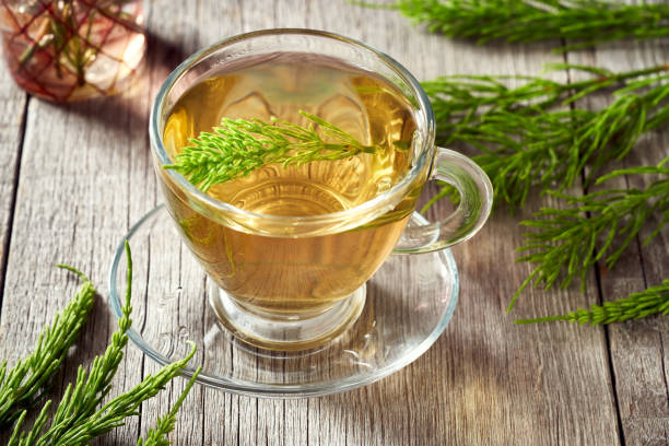 istock Horsetail tea and fresh horsetail 1321571529