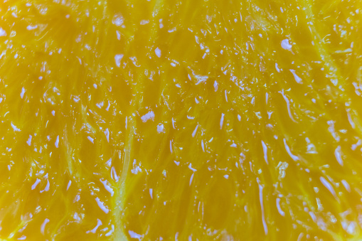 Macro photography of an orange slice
