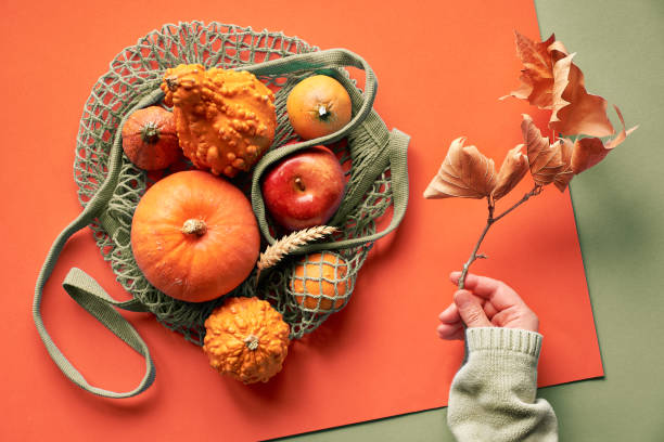 autumn flat lay with female hands in blue sweater and turquoise string bag with orange pumpkins. top view on layered paper background - high angle view brown directly above photography imagens e fotografias de stock