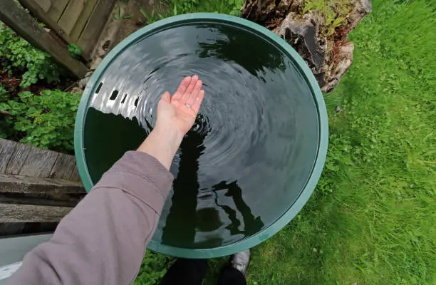 A woman holding clean clear rainwater from a rain barrel in her hand