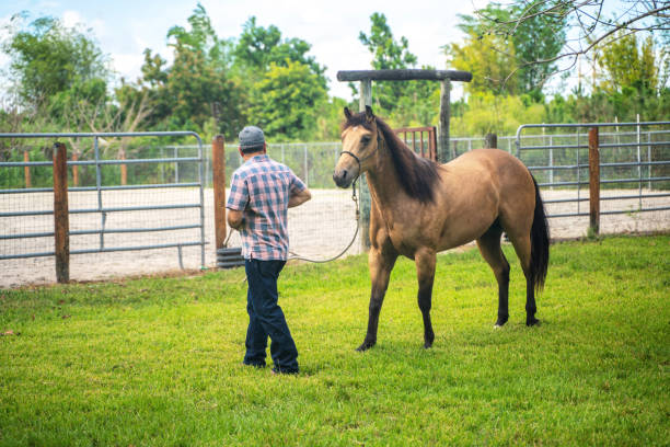 istock Hispanic man with his horse 1321582574