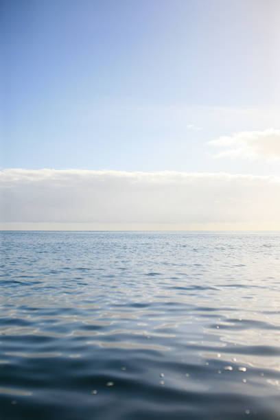 istock Open Ocean New Zealand 1321593693
