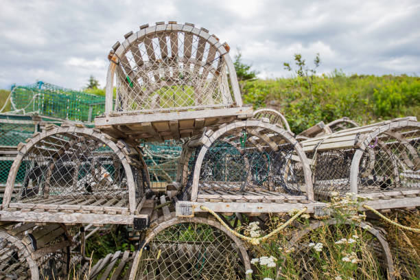 istock Pile of Lobster Traps 1321596552