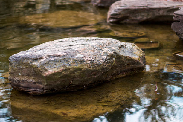 Stone sitting in a reflecting pond