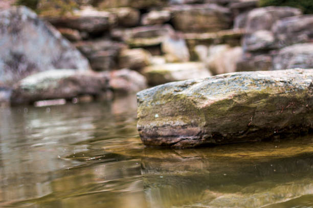 Stone sticking out of a pond