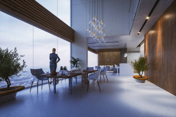 일몰에 창을 통해 찾고 펜시브 여자 - window contemporary showcase interior architecture 뉴스 사진 이미지