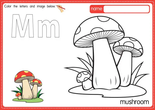 Vector illustration of Vector illustration of kids alphabet coloring book page with outlined clip art to color. Letter M for Mushroom.