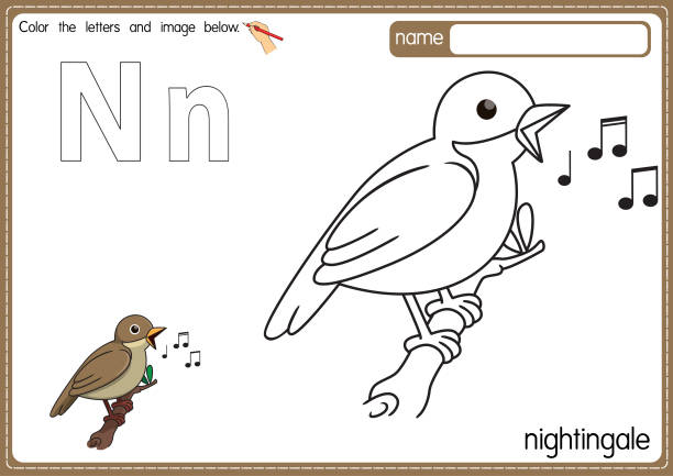 ilustrações, clipart, desenhos animados e ícones de ilustração vetorial de crianças alfabeto página de livro de colorir com delineado clip art para colorir. carta n para nightingale. - education reading and writing uppercase lowercase