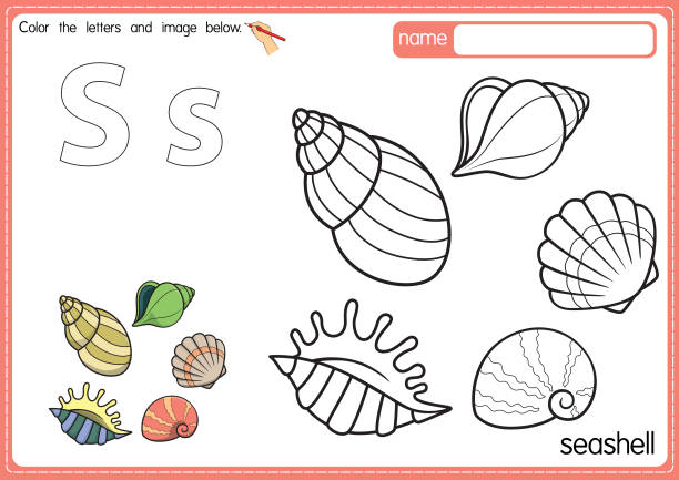 ilustrações, clipart, desenhos animados e ícones de ilustração vetorial de crianças alfabeto página de livro de colorir com delineado clip art para colorir. carta s para seashell. - education reading and writing uppercase lowercase