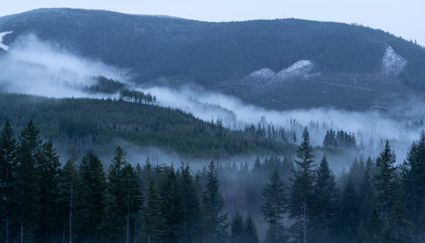 istock Foggy Mountains Vancouver Island. 1321603427