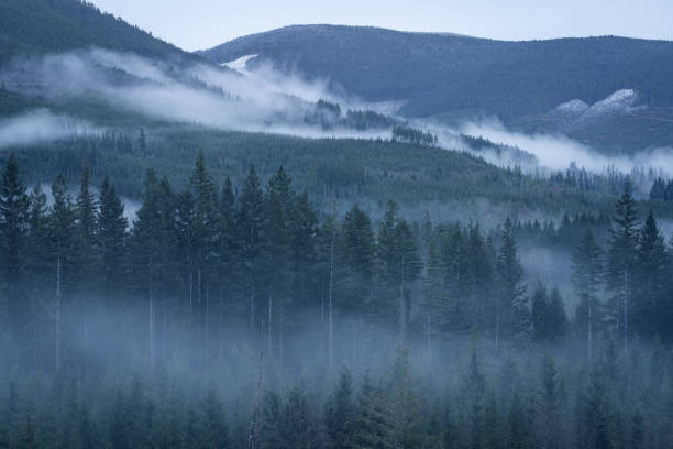 istock Foggy Mountains Vancouver Island. 1321603753