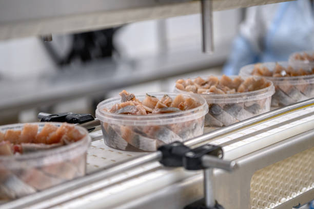 istock Pickled pieces of herring fillet in plastic cans on a conveyor 1321610568