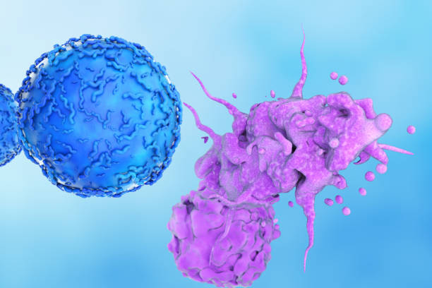 istock Destroyed Cancer Cell by T-Cell 1321610671