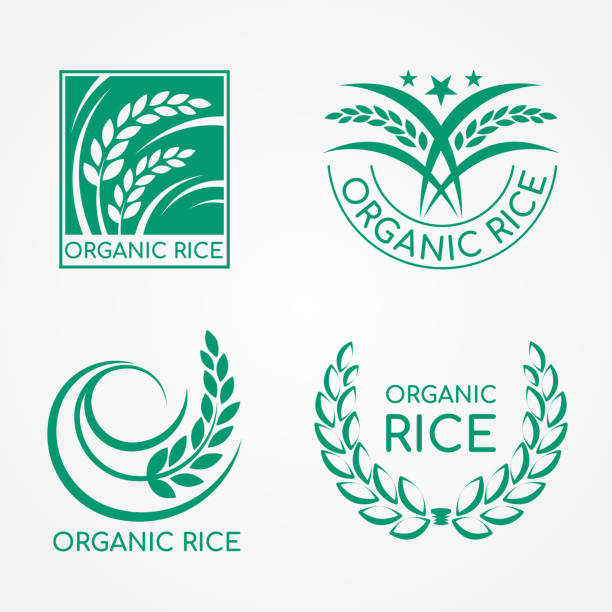 Sign For Rice 280+ Successful Rice Stock Illustrations, Royalty-Free Vector Graphics ...