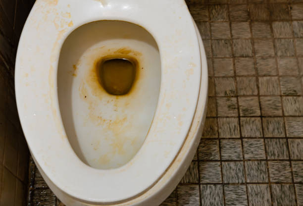 istock dirty toilet in apartment. 1321628060
