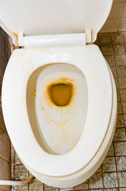 istock dirty toilet in apartment. 1321628152
