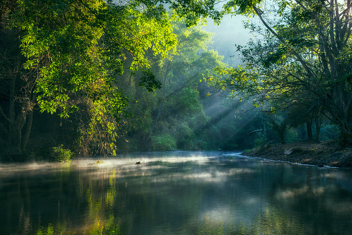 Nature valley, The river and sunbeam with fog in forest.