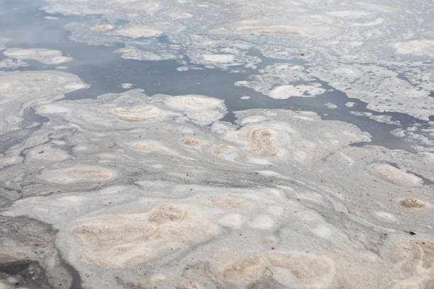 istock Natural foam on the surface of a river 1321630099