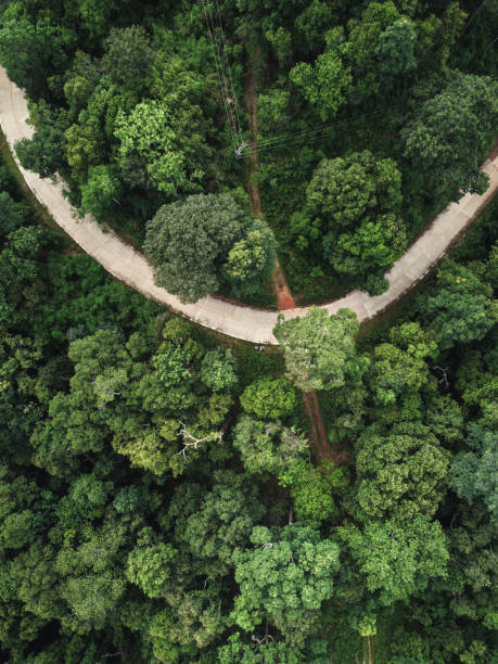 istock green forest in the tropics from above 1321636112