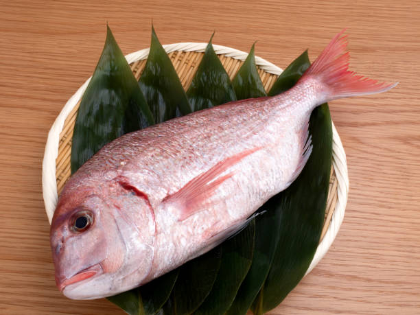 istock Chidai prepared for cooking 1321637145