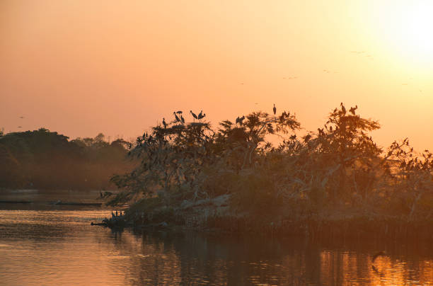 istock Scenic view of Rabindra Sarobar lake in evening 1321646729