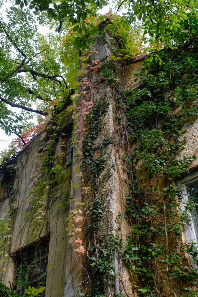 istock old rundown house 1321649025
