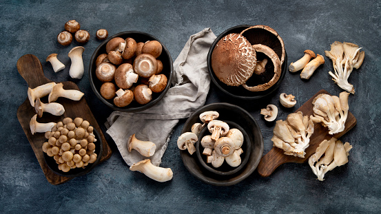 Variety of raw mushrooms on dark background. Vegan food cocnept. Top view, flat lay, copy space