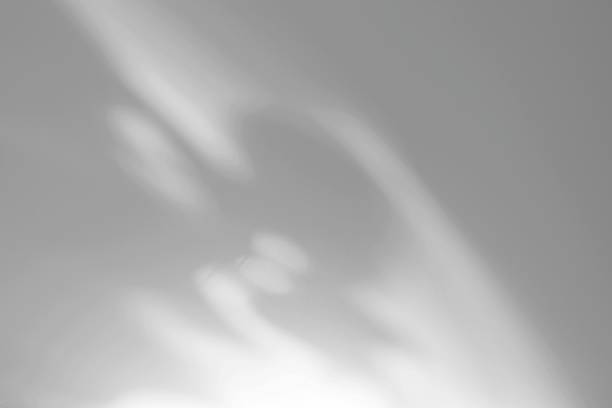 istock Dappled shadows, mockup as overlay. Shadows on the concrete wall, space for text 1321658464