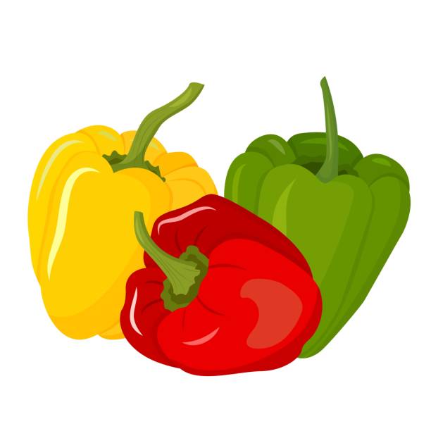 ilustrações de stock, clip art, desenhos animados e ícones de a set of ripe bell peppers. red, yellow, and green. vector illustration. - pimento