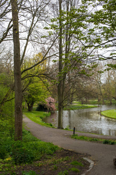 istock reflection in the pond in the park 1321665604