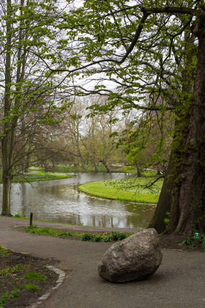istock reflection in the pond in the park 1321665964