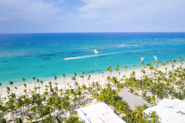 istock Aerial view from drone on seashore with palm trees and sunbeds 1321671482