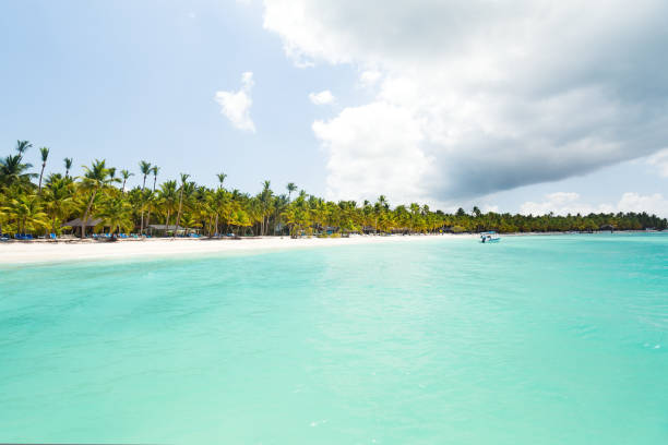 istock Island with coconut palms and Caribbean sea 1321672200