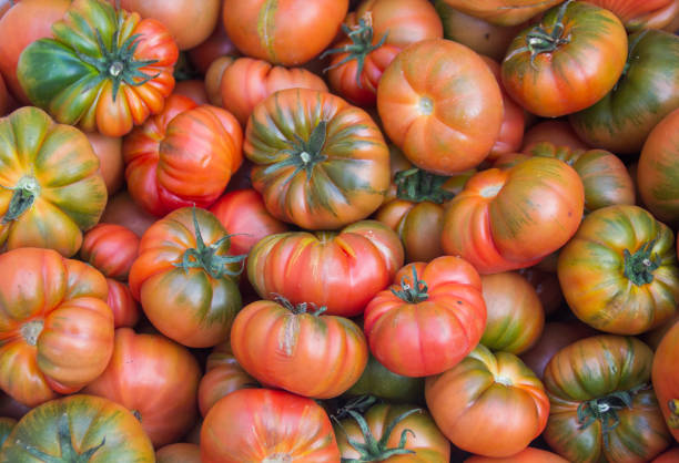 istock Ecological, healthy and juicy tomatoes 1321672852