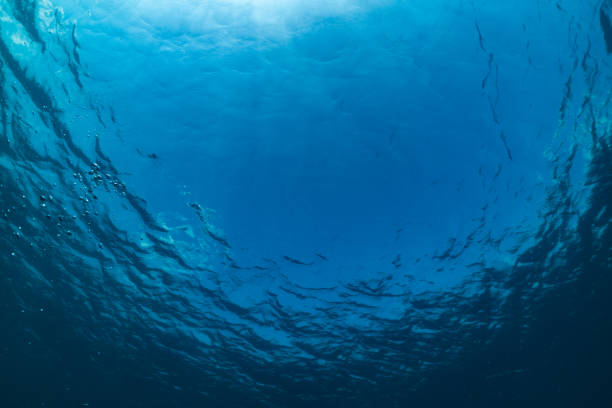 istock Underwater of tropical; sun rays passing through water. 1321679340