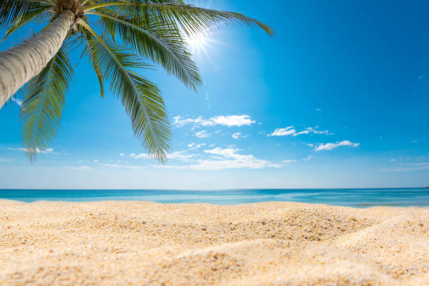istock white sand and beautiful tropical beach 1321679696