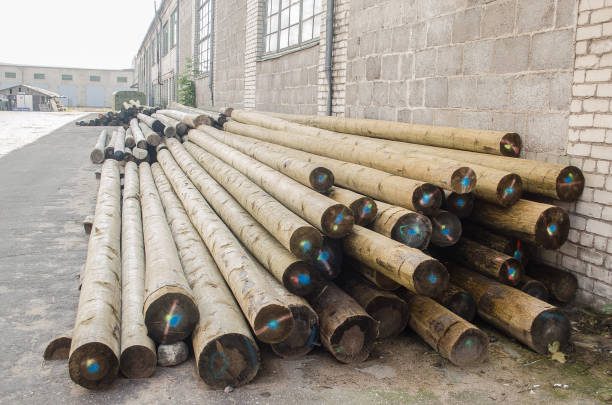 Pile with wooden electricity poles.