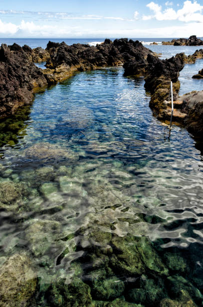 istock NATURAL POOLS OF BISCOITOS (TERCEIRA) 1321681290