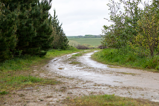 Dirt road on an English farm