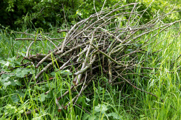 Children's home made play hut in Dyrehaven, which is an UNESCO Heritage Site and a popular public park just north of Copenhagen