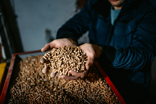 A man holds wood pellets in his hands. Biofuels. Renewable energy source. Pressed sawdust for industrial use. Alternative bio fuel. Wood filler used in cat litter.