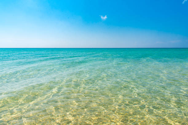 istock Calm Sea and Blue Sky Background. 1321684869
