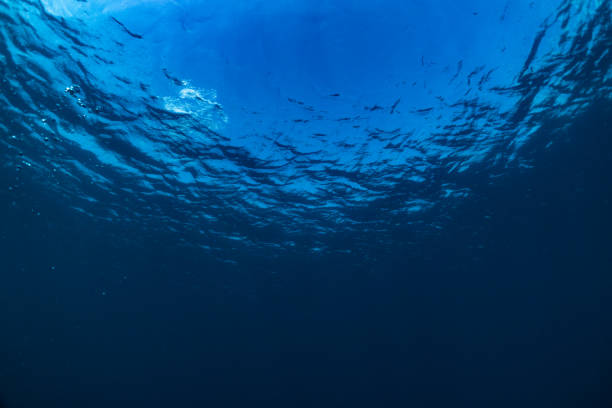 istock Underwater of tropical; sun rays passing through water. 1321685481