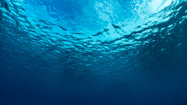 istock Underwater of tropical; sun rays passing through water. 1321686058