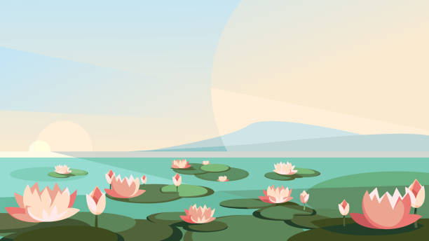 ilustrações de stock, clip art, desenhos animados e ícones de landscape with lotuses on the river. - water lily illustrations