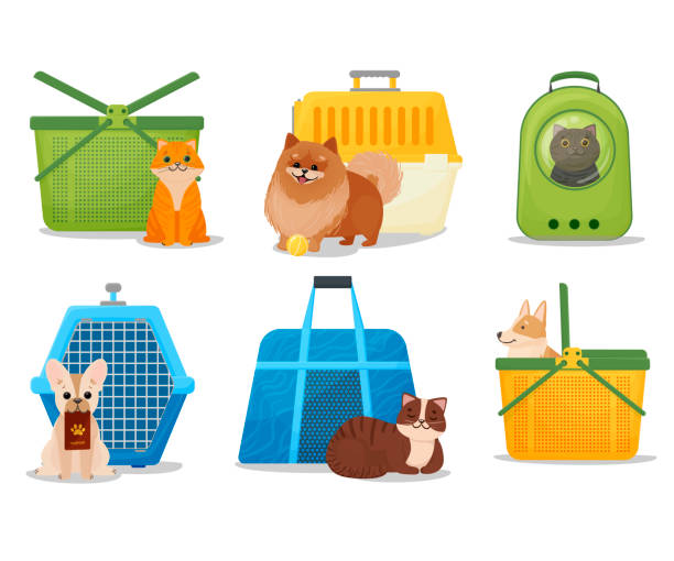 illustrations, cliparts, dessins animés et icônes de un ensemble de paniers portables, cages et sacs à dos pour animaux de compagnie. transporteurs pour chiens et chats style dessin animé. porte-animaux en plastique. illustration vectorielle isolée sur fond blanc. - panier de voyage